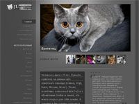 фотографа Евгения Лимонтова